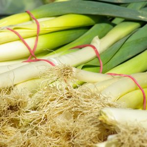 leeks, vegetables, vegetable garden-673243.jpg
