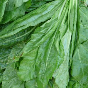 real spinach, spinach, vegetables-73911.jpg